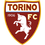 تورينو