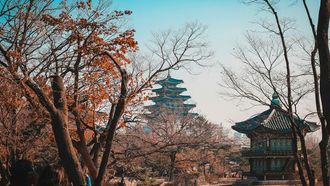 South Korea's New Visa For Digital Nomads