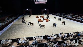 خيول الإمارات تتصدر بطولة أبوظبي