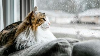 Cosy Indoor Weekend Ideas For Family