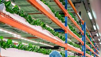 Bustanica Acquired by Emirates Catering