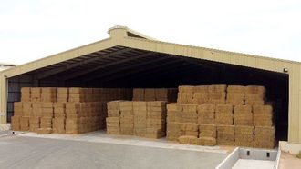 إطلاق سوق الأعلاف لمربي الماشية في دولة الإمارات العربية المتحدة