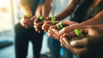 Mega Green Boost For MENA Climate Start-ups