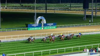 90+ Elite Horses At Meydan's Dubai Carnival