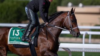 الرياض تستعد لكأس السعودية 2024