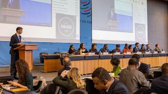 WTO Council Preps for MC13 Abu Dhabi