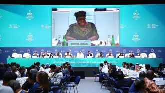 Final Efforts Urged For WTO MC13 Success