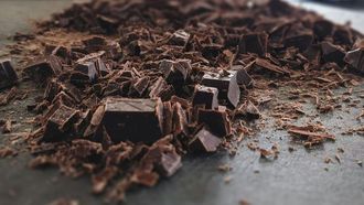 Cacao's Ancient Journey Uncovered