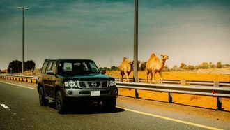 2024 Al Ostoura Nissan Patrol Launch