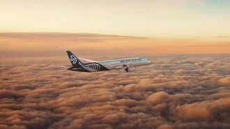 Auckland-Chicago Flights Paused