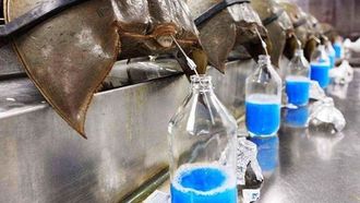 Eco-Friendly Amebocyte Production Launched