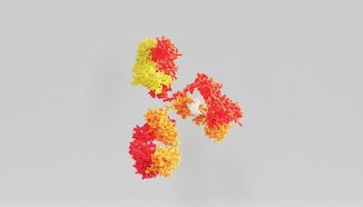 التحديات في تشخيص أمراض المناعة الذاتية