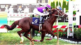 سباق الخيل العربي المثير في العين