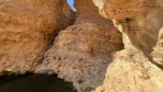 Ayn Al-Dhi'bah: Laynah's Wolf Haven