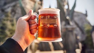 Butterbeer Season At Universal