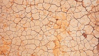 تغير المناخ قد يزيد من مخاطر الأمراض