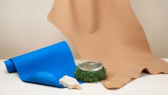 Sustainable Leather In Automotive Sector