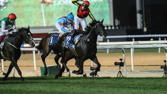 كأس دبي العالمي 2024: معاينة تشكيلة الخيول