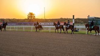 Dubai World Cup Leads 2024 UAE Sports