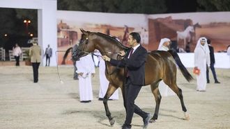 كأس العالم للخيول العربية في سكوتسديل