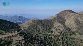 خطة المحافظة على الغابات في السعودية