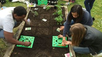 Slash Grocery Bills With Seeding Square