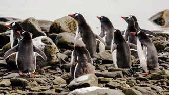 مسارات الرحلات البحرية المثيرة لعام ٢٠٢٤