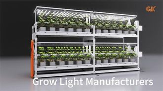 Revolutionizing Indoor Farming