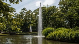 City Parks: Culture And Serenity