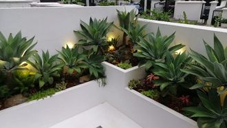 Primula Florist Launches Landscape Services