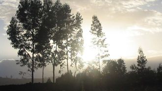 'Out Of Darkness Into Light' At L.A. Book Fest