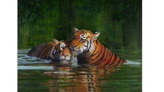 Mara Sfara's Vibrant Animal Art