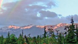 Widow's Grief Journey In New Memoir