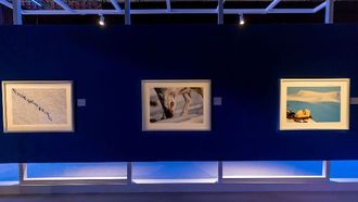 شول التعرض 2024: رحلة الطبيعة