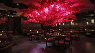 Neera Dubai Unveils Six Dining Spaces