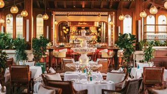 غداء عمل جديد في سينيور ساسي