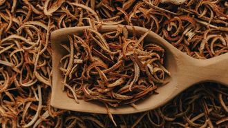 يرقات الذبابة الغنية بالمغذيات: قفزة في تغذية الحيوانات