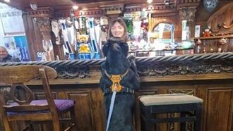 Pablo: UK's Dog Celebrity