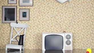 New Restoration Website Launch