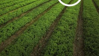 Ricola Certified As B Corporation