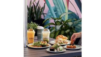 Rodilla's 5th Year In Miami