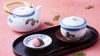 Sakura Season Flights With Emirates