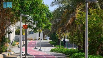 توسيع المناطق الخضراء بالمنطقة الشرقية