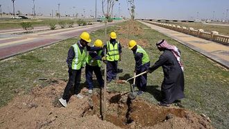 دعم مبادرة تبوك الخضراء