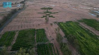 توسيع المساحات الخضراء في مدينة رفحاء