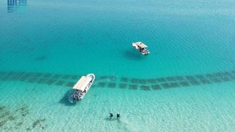 زراعة الأعشاب البحرية تعزز التنوع البيولوجي في البحر الأحمر