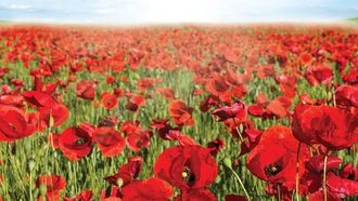 'Problems?' By Rev. Matthews At L.A. Festival