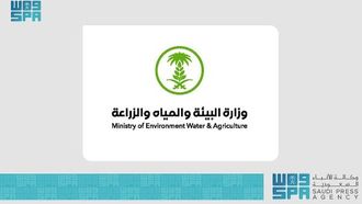 مسرّع سدرة يدعو الشركات الناشئة