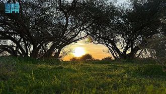 قواعد الرعي لحماية البيئة