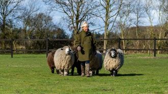 Amanda Oldfield's Eco-Conscious Path